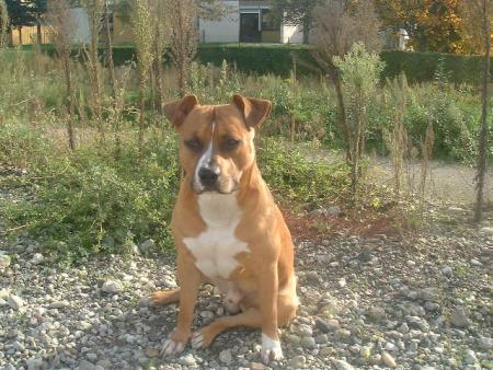 a notre nino